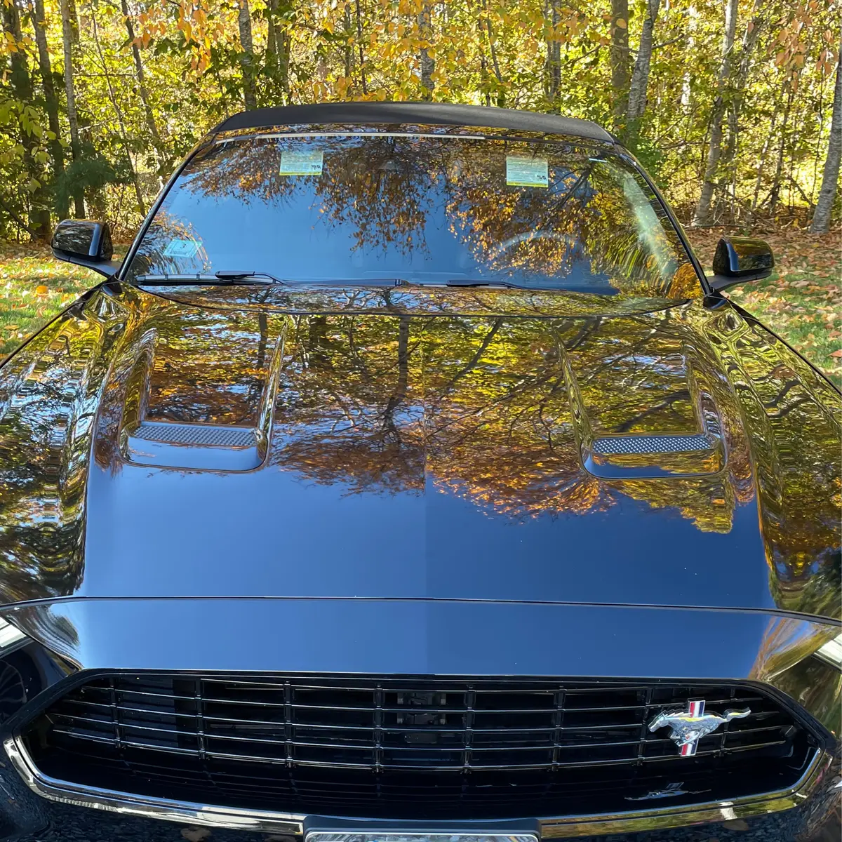 Ceramic Coating